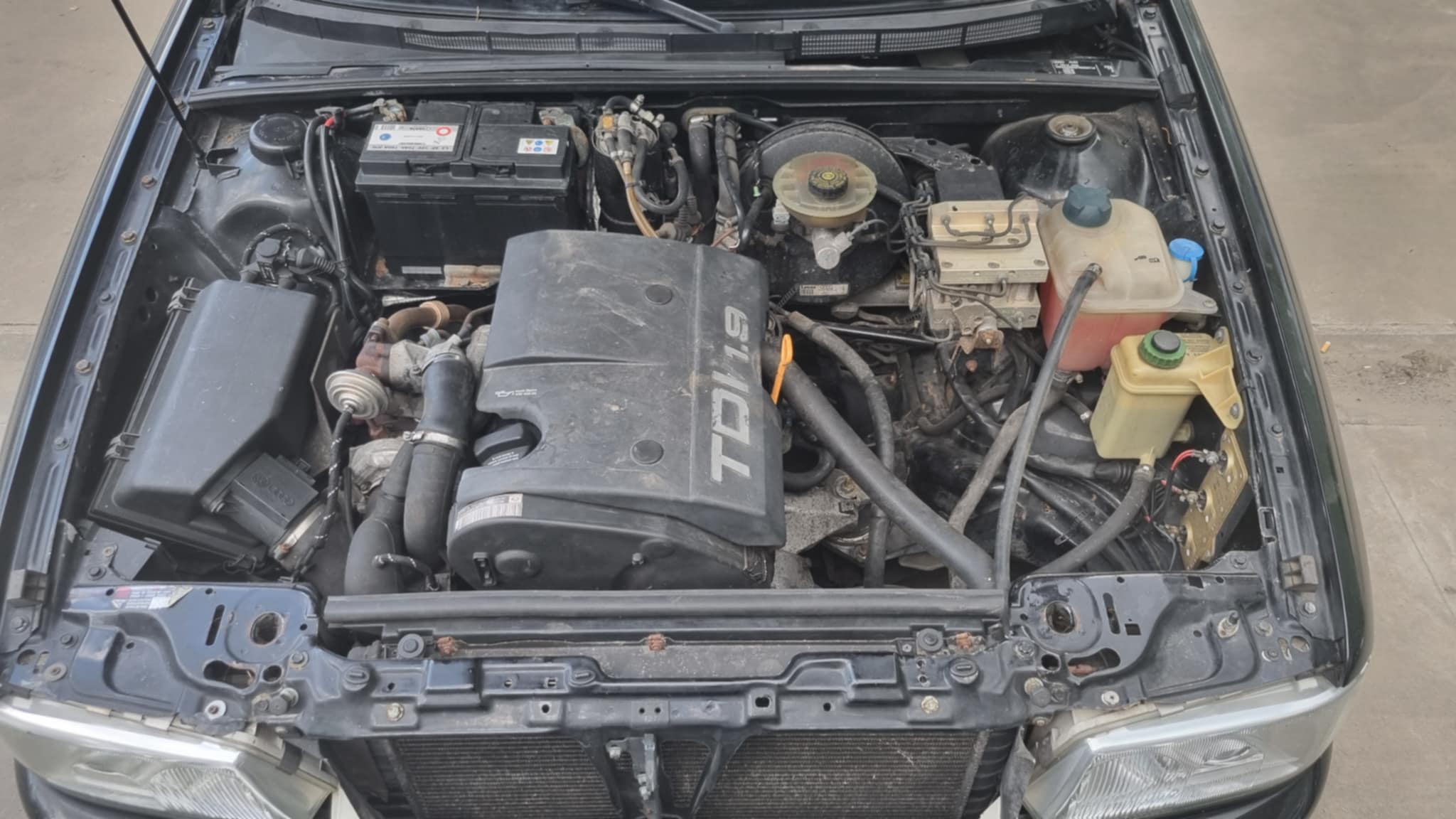 z9